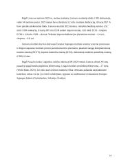 Muitinės procesų automatizavimas ir efektyvumo didinimas. Poveikis ekonomikai 13 puslapis