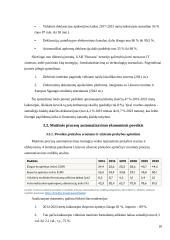 Muitinės procesų automatizavimas ir efektyvumo didinimas. Poveikis ekonomikai 19 puslapis