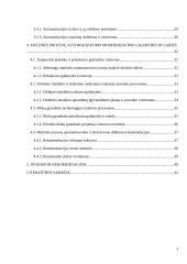 Muitinės procesų automatizavimas ir efektyvumo didinimas. Poveikis ekonomikai 2 puslapis