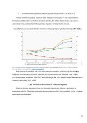 Muitinės procesų automatizavimas ir efektyvumo didinimas. Poveikis ekonomikai 20 puslapis