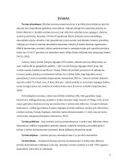 Muitinės procesų automatizavimas ir efektyvumo didinimas. Poveikis ekonomikai 5 puslapis