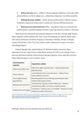 Muitinės procesų automatizavimas ir efektyvumo didinimas. Poveikis ekonomikai 9 puslapis