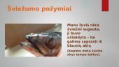 Skaidrės „Žuvis mano virtuvėje" 11 puslapis