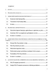Asimetrinio šifravimo sistemos, paremtos nekomutatyviais kriptografijos metodais, sukūrimas ir savybių tyrimas 2 puslapis