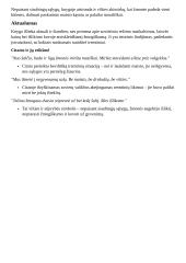 D. Grinkevičiūtė. Lietuviai prie Laptevų jūros. Analizė 2 puslapis