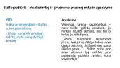 Mito apie Sisifą interpretacija K. Sajos apsakymo ištraukoje ,,Sizifo akmuo‘‘ 10 puslapis