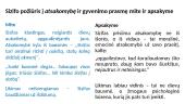 Mito apie Sisifą interpretacija K. Sajos apsakymo ištraukoje ,,Sizifo akmuo‘‘ 8 puslapis