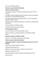 Masažas sergant širdies ir kraujagyslių sistemos ligomis 2 puslapis