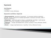 Bendras ligonio ištyrimas 12 puslapis