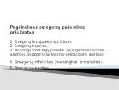 Bendras ligonio ištyrimas 13 puslapis