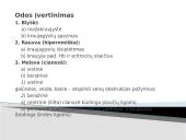 Bendras ligonio ištyrimas 16 puslapis