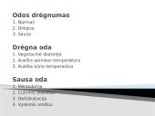 Bendras ligonio ištyrimas 19 puslapis