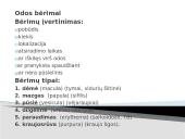 Bendras ligonio ištyrimas 20 puslapis