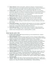 11kl. istorijos vadovėlio 1-os dalies skyrių santrauka 2 puslapis