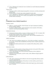 11kl. istorijos vadovėlio 1-os dalies skyrių santrauka 13 puslapis