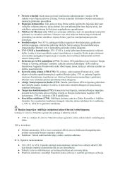 11kl. istorijos vadovėlio 1-os dalies skyrių santrauka 17 puslapis