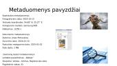 Metaduomenys. Captcha ženklai. Papildyta realybė (Augmented reality) 7 puslapis