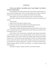Fizinio asmens bankrotas 2 puslapis