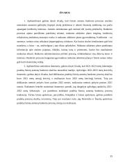 Fizinio asmens bankrotas 13 puslapis