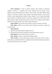 Fizinio asmens bankrotas 6 puslapis