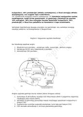 Ekologija - konspektas 11 puslapis
