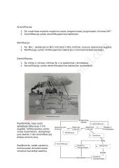 Ekologija - konspektas 13 puslapis