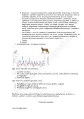 Ekologija - konspektas 5 puslapis