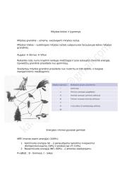Ekologija - konspektas 7 puslapis