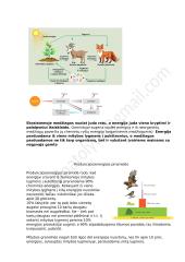 Ekologija - konspektas 9 puslapis