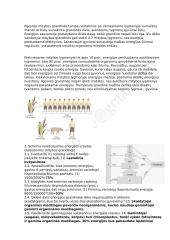 Ekologija - konspektas 10 puslapis