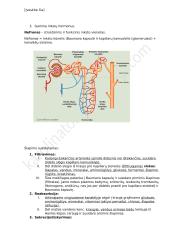 Homeostazė - konspektas 11 puslapis
