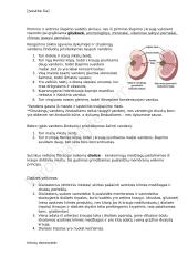 Homeostazė - konspektas 13 puslapis