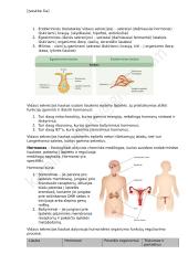 Homeostazė - konspektas 4 puslapis