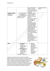 Homeostazė - konspektas 7 puslapis