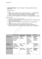Homeostazė - konspektas 9 puslapis