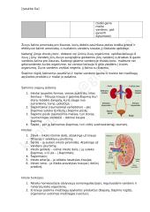 Homeostazė - konspektas 10 puslapis
