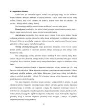  Temperatūros įtaka buožgalvių vystymuisi  13 puslapis