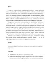  Temperatūros įtaka buožgalvių vystymuisi  2 puslapis