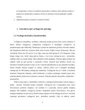  Temperatūros įtaka buožgalvių vystymuisi  3 puslapis