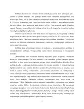  Temperatūros įtaka buožgalvių vystymuisi  6 puslapis