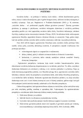 Egzistencializmas. Socialinio darbo referatas 8 puslapis