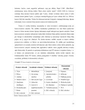 Butų kainų prognozavimas baltijos šalių sostinėse 14 puslapis