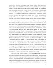 Butų kainų prognozavimas baltijos šalių sostinėse 18 puslapis