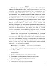 Butų kainų prognozavimas baltijos šalių sostinėse 6 puslapis