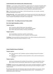 Vadovo autoritetas, asmenybė, lyderio fenomenas 4 puslapis