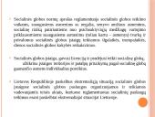 Socialinės globos norma. Socialinės globos normų aprašų pagrindiniai akcentai 2 puslapis