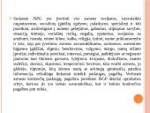 Socialinės globos norma. Socialinės globos normų aprašų pagrindiniai akcentai 11 puslapis