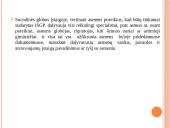 Socialinės globos norma. Socialinės globos normų aprašų pagrindiniai akcentai 12 puslapis