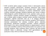 Socialinės globos norma. Socialinės globos normų aprašų pagrindiniai akcentai 13 puslapis