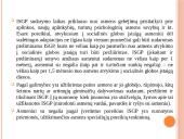 Socialinės globos norma. Socialinės globos normų aprašų pagrindiniai akcentai 14 puslapis